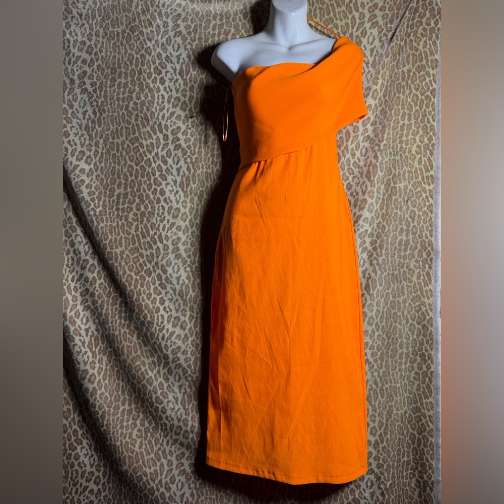 ZARA Jungle top dress